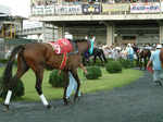 ukeiba 0140028.jpg